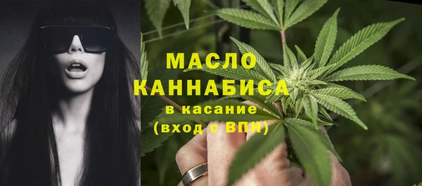 индика Дмитровск