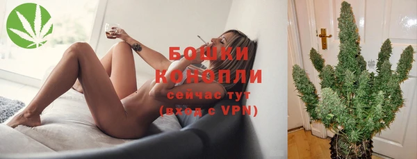 индика Дмитровск