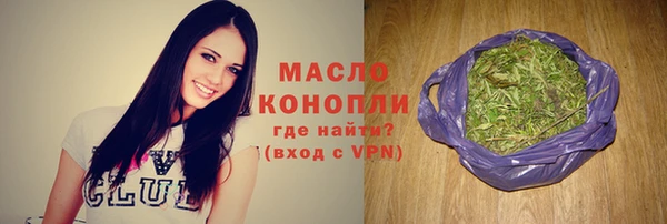 индика Дмитровск