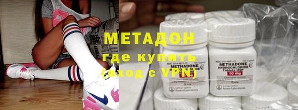 индика Дмитровск