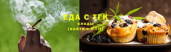 индика Дмитровск