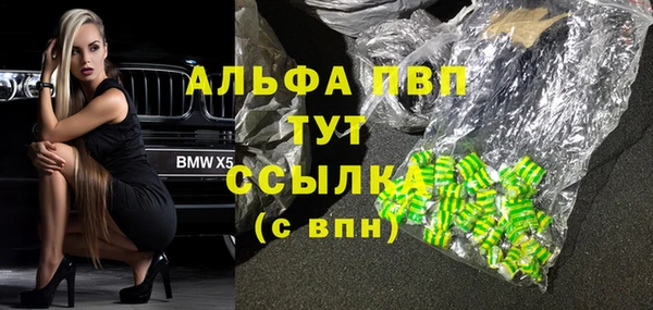 индика Дмитровск