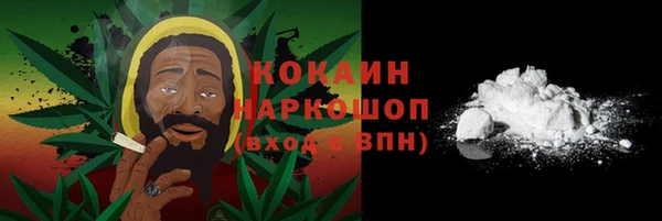 индика Дмитровск