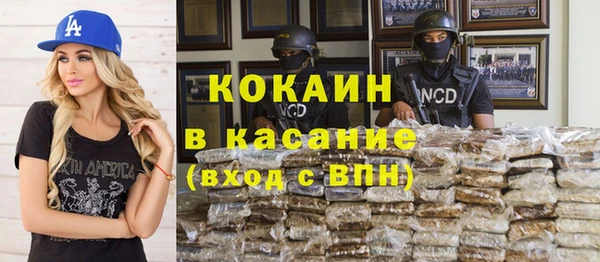 индика Дмитровск