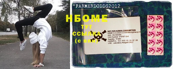 мет Дмитриев
