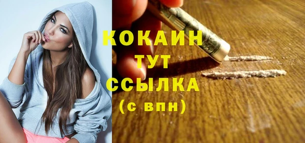мет Дмитриев