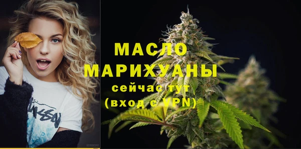 мет Дмитриев
