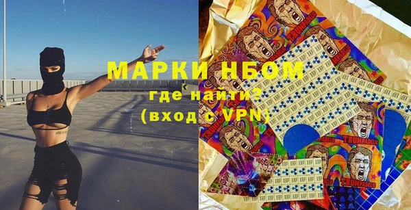индика Дмитровск