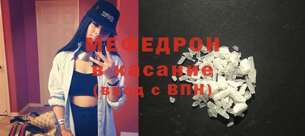 индика Дмитровск