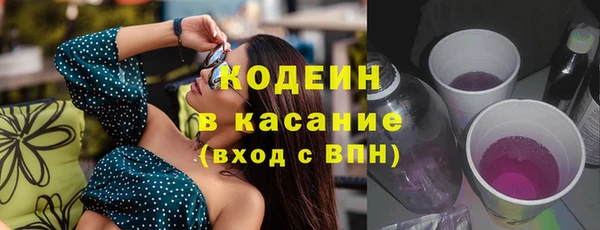 индика Дмитровск