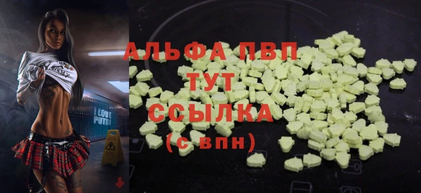 индика Дмитровск