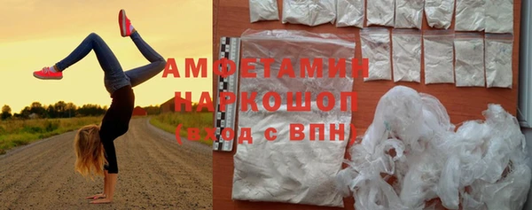 индика Дмитровск
