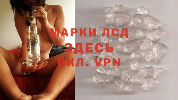 индика Дмитровск